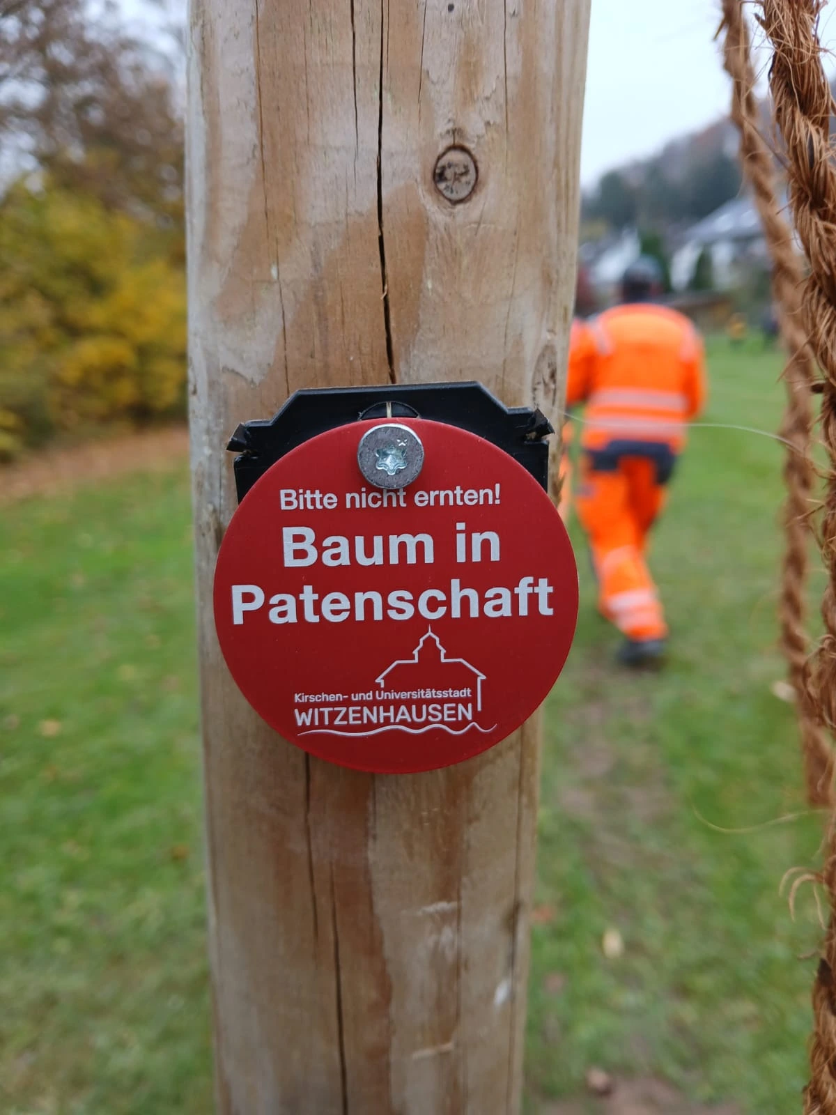 Baumpatenschaft Baumpatenschaft